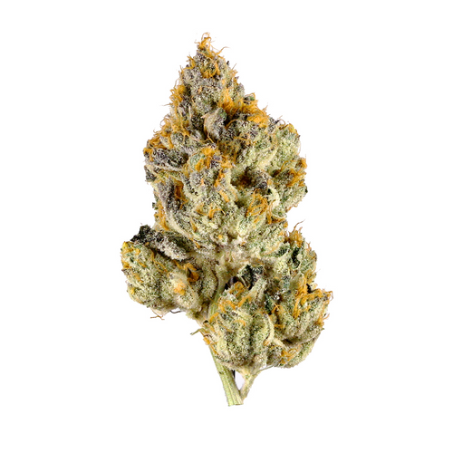 Discover the Top 10 Weed Strains